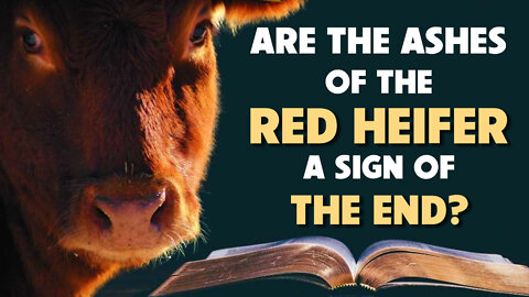 Ashes of the Red Heifer sign of the End? 09/21/2022