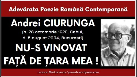 Andrei Ciurunga - NU-S VINOVAT FAȚĂ DE ȚARA MEA !