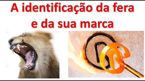 A identidade da Fera e da sua Marca