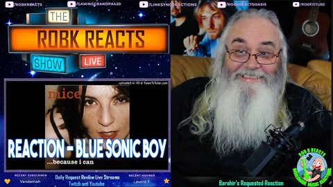 Mice Reaction - Blue Sonic Boy - First Time Hearing - Requested