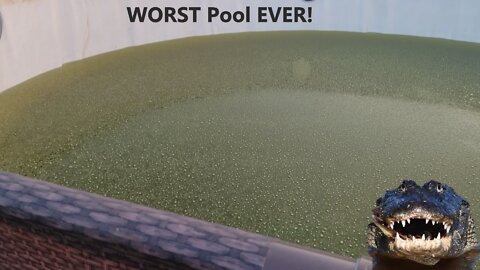 The Worst Pool Cleanout Ever