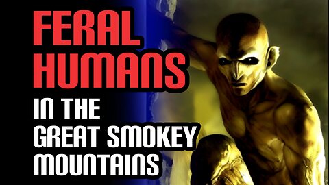 True Stories : Encounters With Feral Humans And Other Cryptids In The Great Smokey Mountains