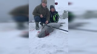 Man catches sturgeon of a lifetime