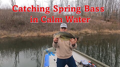 Catching Spring Bass in Calm Water #fishing #bassfishing