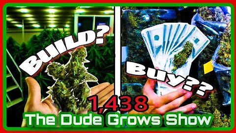 To Max Your Cannabis Growroom Harvest: Build or Buy?? - The Dude Grows Show 1,438