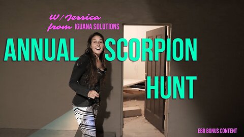 🦂 Scorpion Hunt w/Jessica from Iguana Solutions