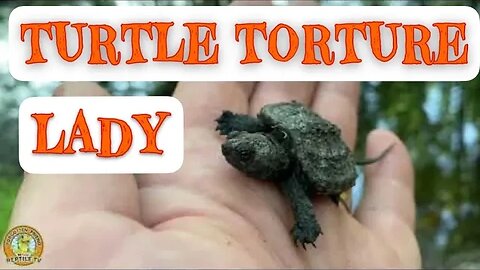 Turtle Torture Lady [DISTURBING]
