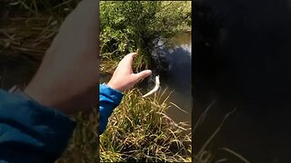 OUCH! Watch What Happens, Catching Fish, Getting Hooked