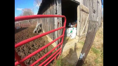 Go Pro Hero 7 Testing | Feeding Horses at the Farm