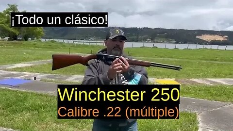 Winchester 250 -Calibre .22 (múltiple)