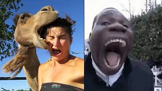 TRY NOT TO LAUGH 😂😂 BEST FUNNY VIDEOS 😂😂 PRANK 😂😂 SCARE CAM PRANKS 😂😂 FUNNY MEMES 😂😂