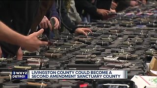 Livingston County could become a Second Amendment sanctuary county