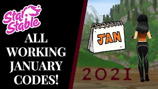 Star Stable ALL WORKING JANUARY REDEEM CODES! 2021 Star Stable Quinn Ponylord