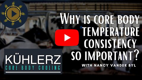 Why Core Body Temperature Consistency is Important for Dairy Cow Health