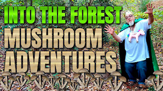 Into The Forest | Mushroom Adventures