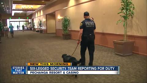 Six-legged security teams to patrol Temecula casino