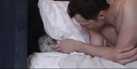 romantic lovers cat and man