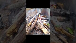 Enjoy Simple Bushcraft in Nature - Hot Tea in Rain Under Tarp #shorts #nature #bushcraft