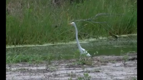 St. Lucie County leaders want more answers before fertilizer proposal approved