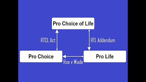 What it Means to be Pro Choice of Life