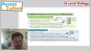 A Level Biology Y12 Cell Membranes
