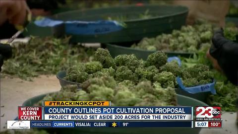 Kern County releases cannabis cultivation proposal