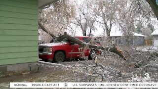 Ice and high winds cause destruction in Scribner