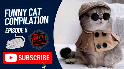 Try To Keep A Straight Face Challenge 🥴 - Funniest Cat Compilation Episode 5