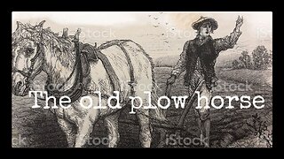 The old plow horse