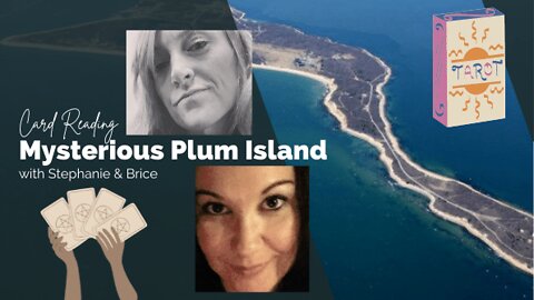 Deep Dive into Plum Island - Card Reading w/ Brice