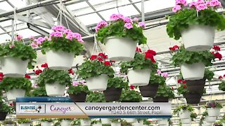 Business Spotlight: Canoyer Garden Center