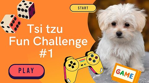 Shi tzu Fun Challege - #1 | Fun video