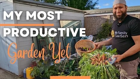 Extremely Productive Container Garden Update, Container Garden Harvest, End Of Year Review