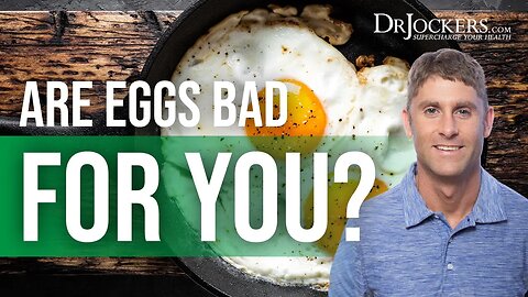 Are EGGS BAD For You? 🥚😈 (DOCTOR REVEALS The Truth) #shorts