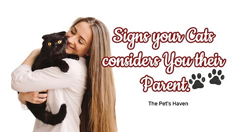 Signs Your Cat Considers You Their Parent.