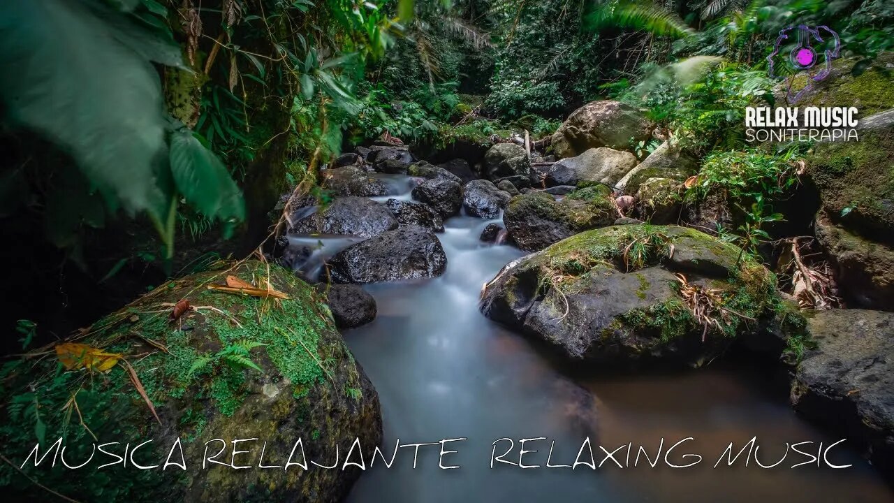 Sonidos del Bosque - RELAJANTE- Sonidos de la Naturaleza para Relajarse ...