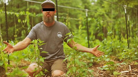 This Man Hates Raised Beds