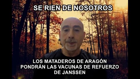 Los mataderos de Aragón administrarán dosis de refuerzo de Janssen