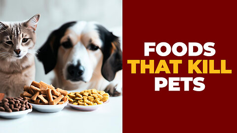 DON'T GIVE THESE FOODS TO YOUR PET THAT KILL THEM