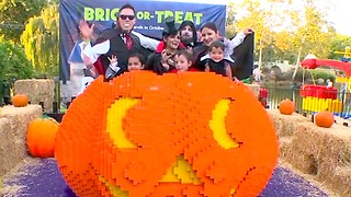 Top 3 Family-Friendly Annual Halloween Events