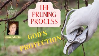 The Pruning Process/God's Protection!
