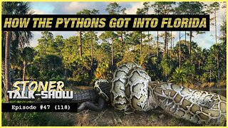 Bruce Explains How the Pythons Got Into Florida