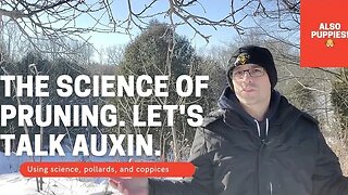 Garden science - Auxin, Apical dominance, Pollards, Coppices and problem solving.