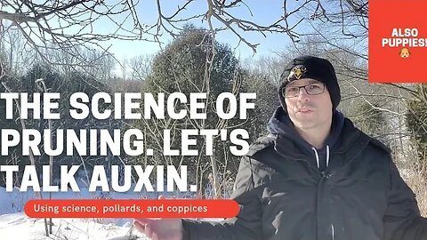 Garden science - Auxin, Apical dominance, Pollards, Coppices and problem solving.