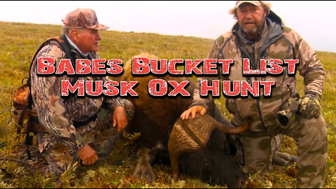 Babe's Bucket List Musk Ox in his words