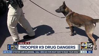 Powerful drugs raising danger for K9 officers across Valley