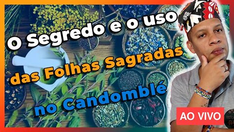 🔴 O Segredo e o uso das Folhas Sagradas no Candomblé - Ewé Òrìsà - Live#41