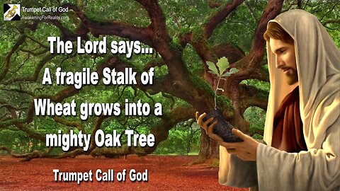 Dec 28, 2010 🎺 The Lord explains... A fragile Stalk of Wheat grows into a mighty Oak Tree