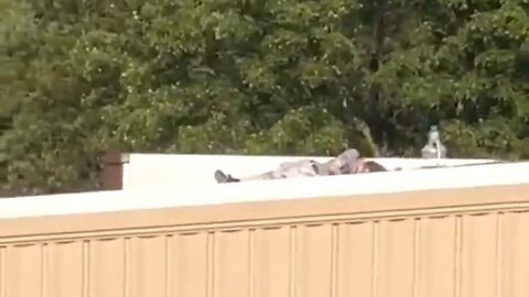 Video Of Trump Shooter Deceased On Rooftop