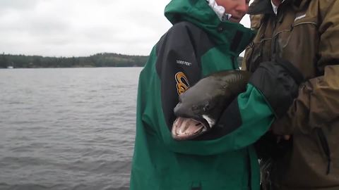 Huge Fish Escapes From Woman’s Hands